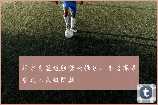 辽宁男篮连胜势头强劲，季后赛争夺进入关键阶段