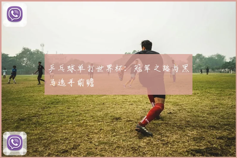 乒乓球单打世界杯:冠军之路与黑马选手前瞻