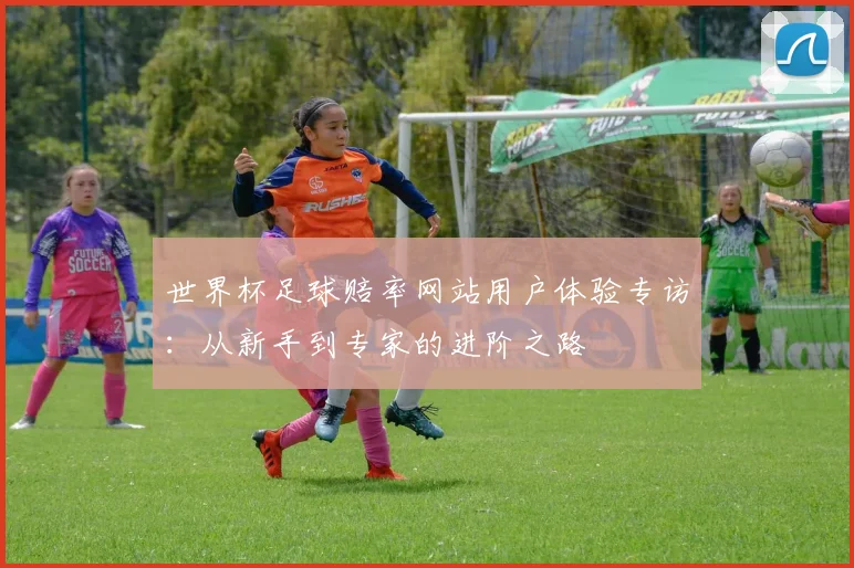 世界杯足球赔率网站用户体验专访:从新手到专家的进阶之路
