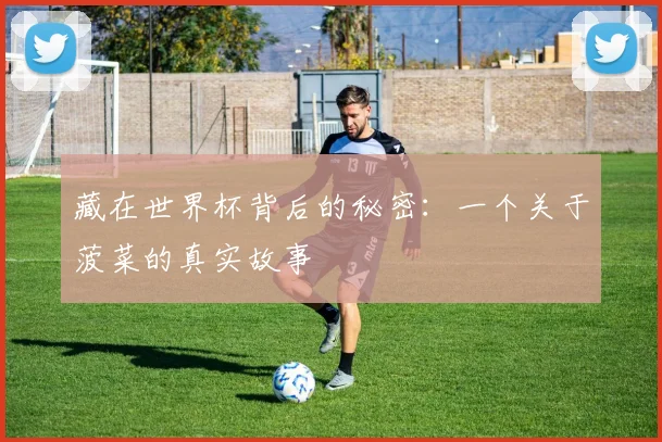 藏在世界杯背后的秘密:一个关于菠菜的真实故事