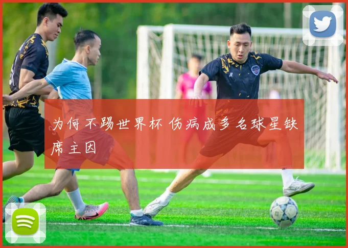为何不踢世界杯 伤病成多名球星缺席主因