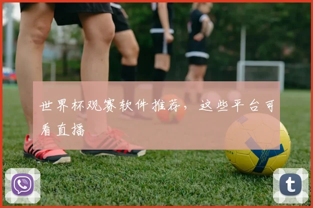 世界杯观赛软件推荐，这些平台可看直播