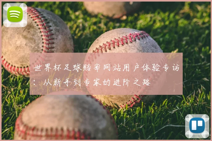 世界杯足球赔率网站用户体验专访:从新手到专家的进阶之路