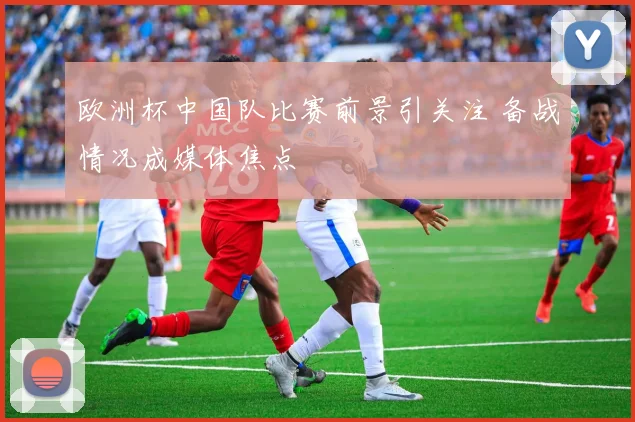 欧洲杯中国队比赛前景引关注 备战情况成媒体焦点