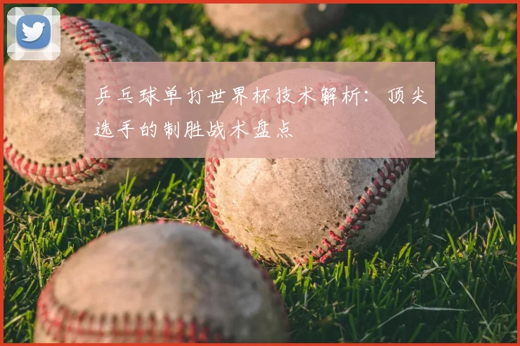 乒乓球单打世界杯技术解析:顶尖选手的制胜战术盘点