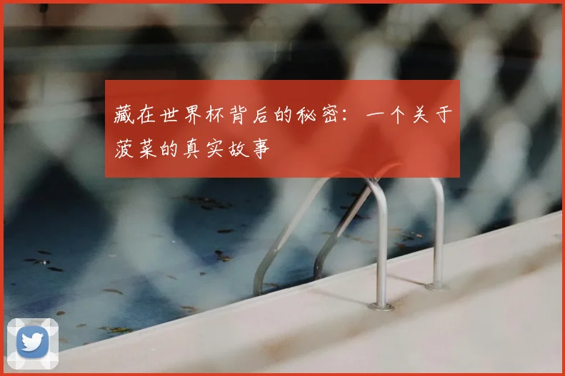 藏在世界杯背后的秘密:一个关于菠菜的真实故事