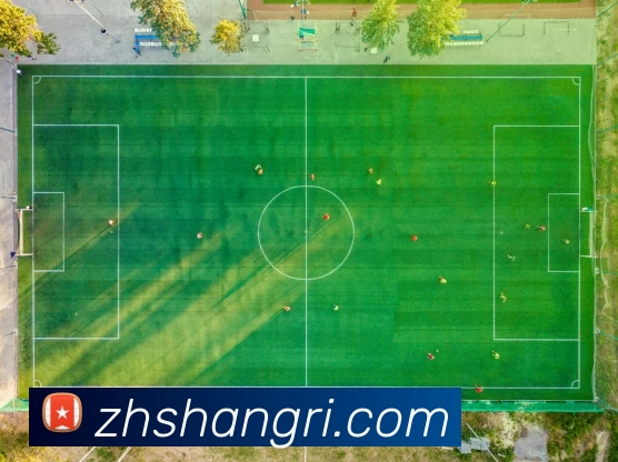 华体网页版平台生态图