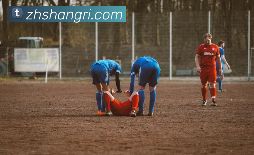 华体网页版APP 封面图